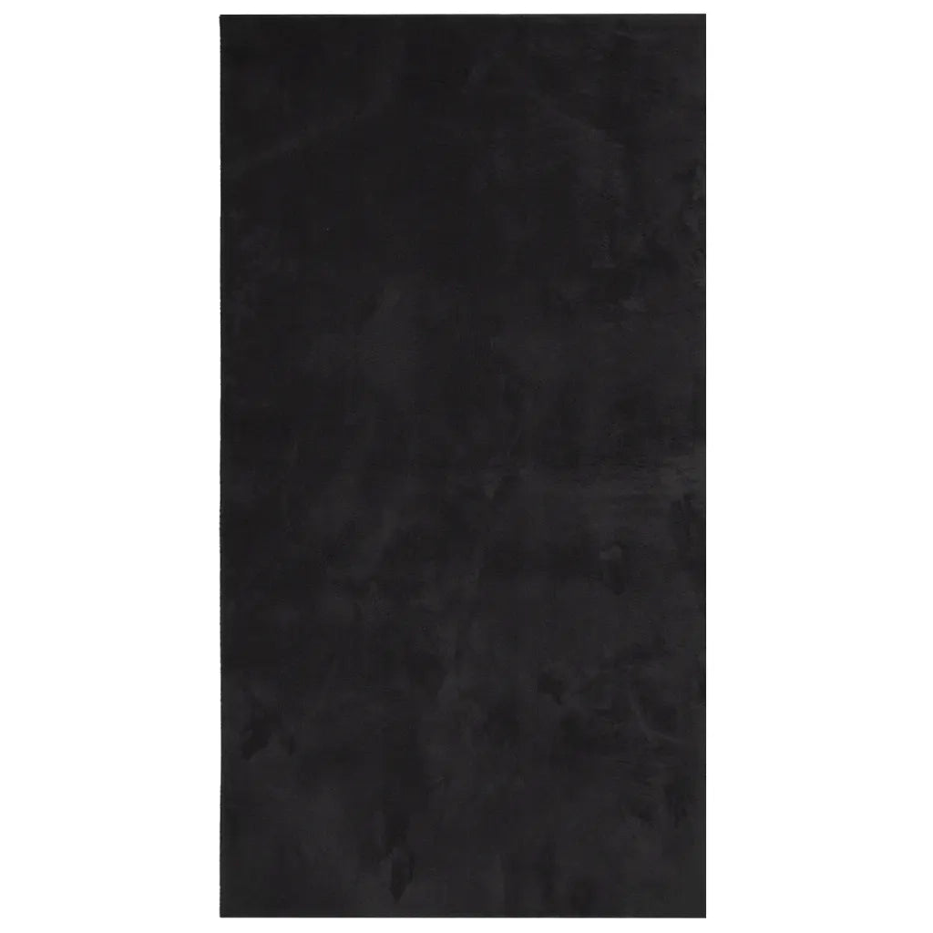 Tappeto del soggiorno | Tappeto a Pelo Corto HUARTE Morbido e Lavabile Nero 60x110 cm