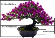 Bonsai artificiale 30cm in vaso ceramico di Podocarpus per decorazione estetica in camera da letto, bagno, soggiorno e finestra.