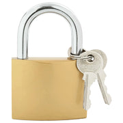 U Lock con Chiavi Ottone 7,4 x 2,1 x 10,6 cm Ferro CFW4015563