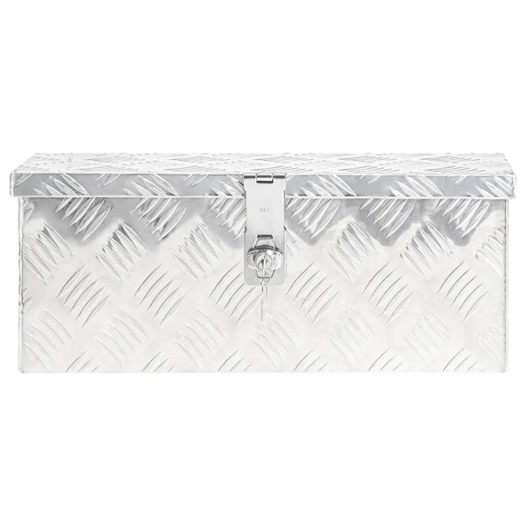 Contenitore Portaoggetti Argento 50x20,5x15 cm in Alluminio