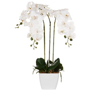 Pianta artificiale con vaso in plastica 59 cm accessorio decorativo boho