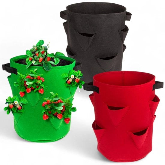 Set di contenitori per piante di fragole da 3 - 8 contenitori - 35 x 42 cm - imbottitura respirante - riutilizzabile - maniglie robuste - ecocompatibile