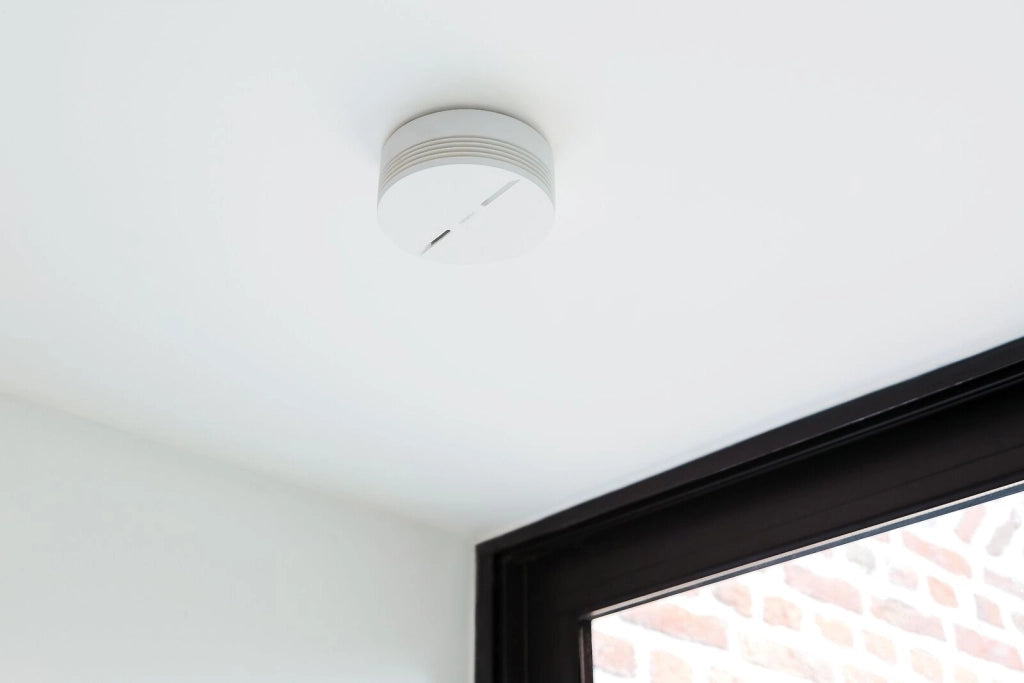 Netatmo Rivelatore di Fumo Intelligente