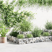 Gabbione Fioriera in Acciaio Zincato 120x120x20 cm cod mxl 11693
