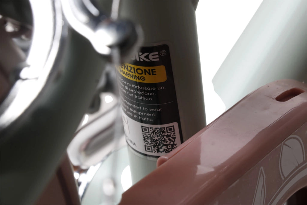 Bicicletta per Bambine Antonella 16 Pollici con Stabilizzatori e Cestino Verde e Rosa Verde e Rosa