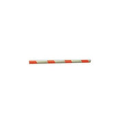 ASTA TONDA IN ALLUMINIO Ø 80MM 6M PROTECO G110 PPKA6T1 AUTOMAZIONE AUTOMATISMI