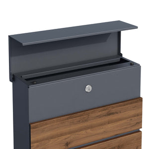 Toboli Cassetta postale con porta giornale, antracite e legno V63 montaggio a parete