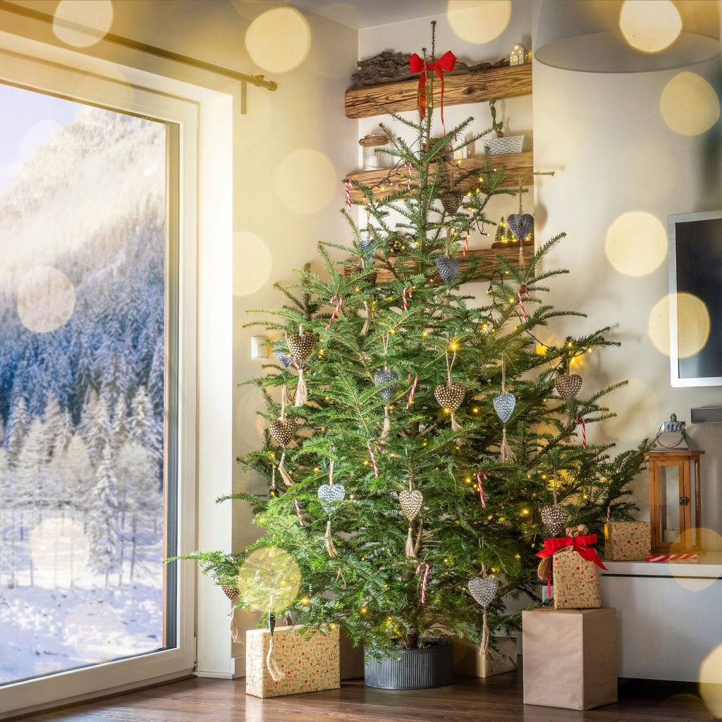 Supporto per albero di Natale grande KADAX, 2,5 m