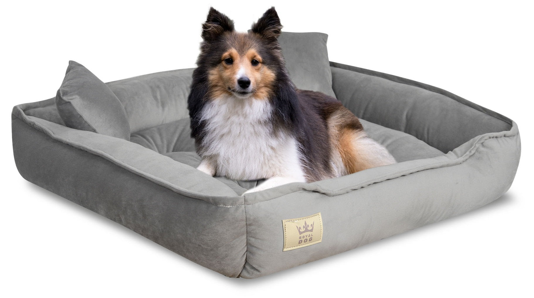 AIO FACTORY Cuccia per cani 100x75 cm in velluto grigio con cuscino impermeabile
