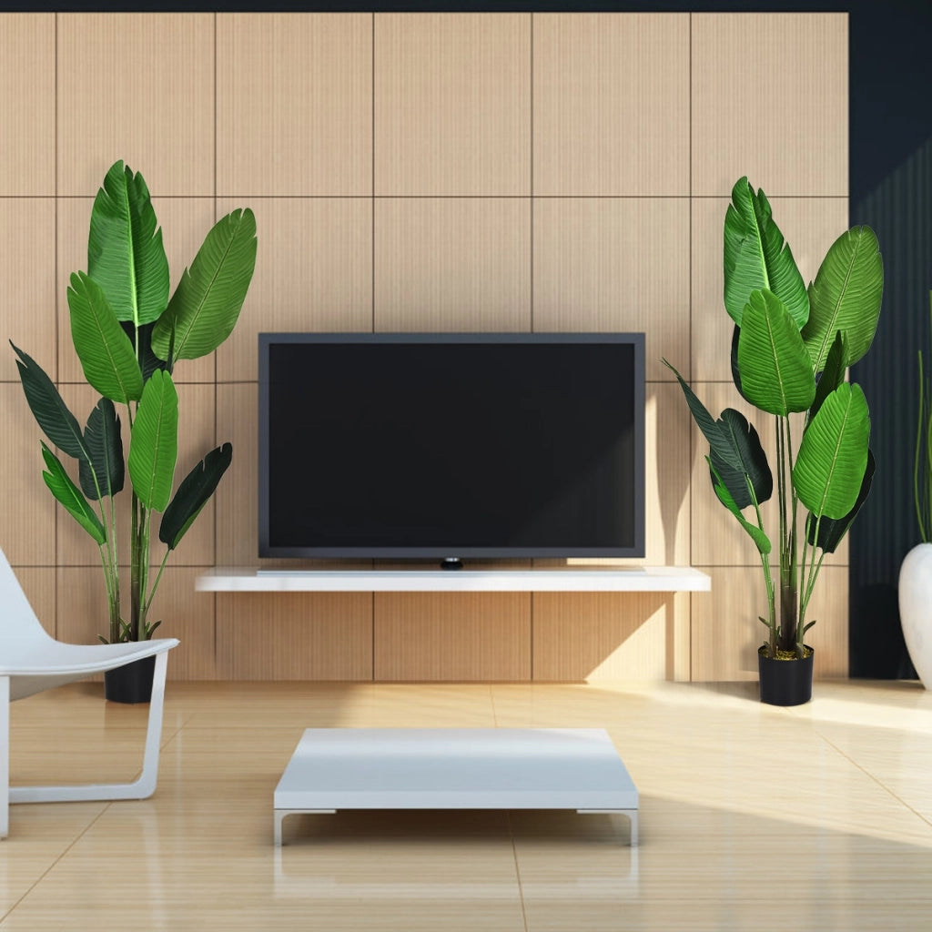 Palma tropicale artificiale con vaso nero, Finto bonsai da interno con 10 foglie realistiche, 160 cm-Piante artificiali