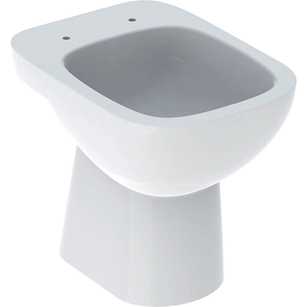 ST Geberit Fantasia Vaso a Pavimento a cacciata con Scarico Verticale e Fissaggio Nascosto, Colore Bianco e Finitura Lucido
