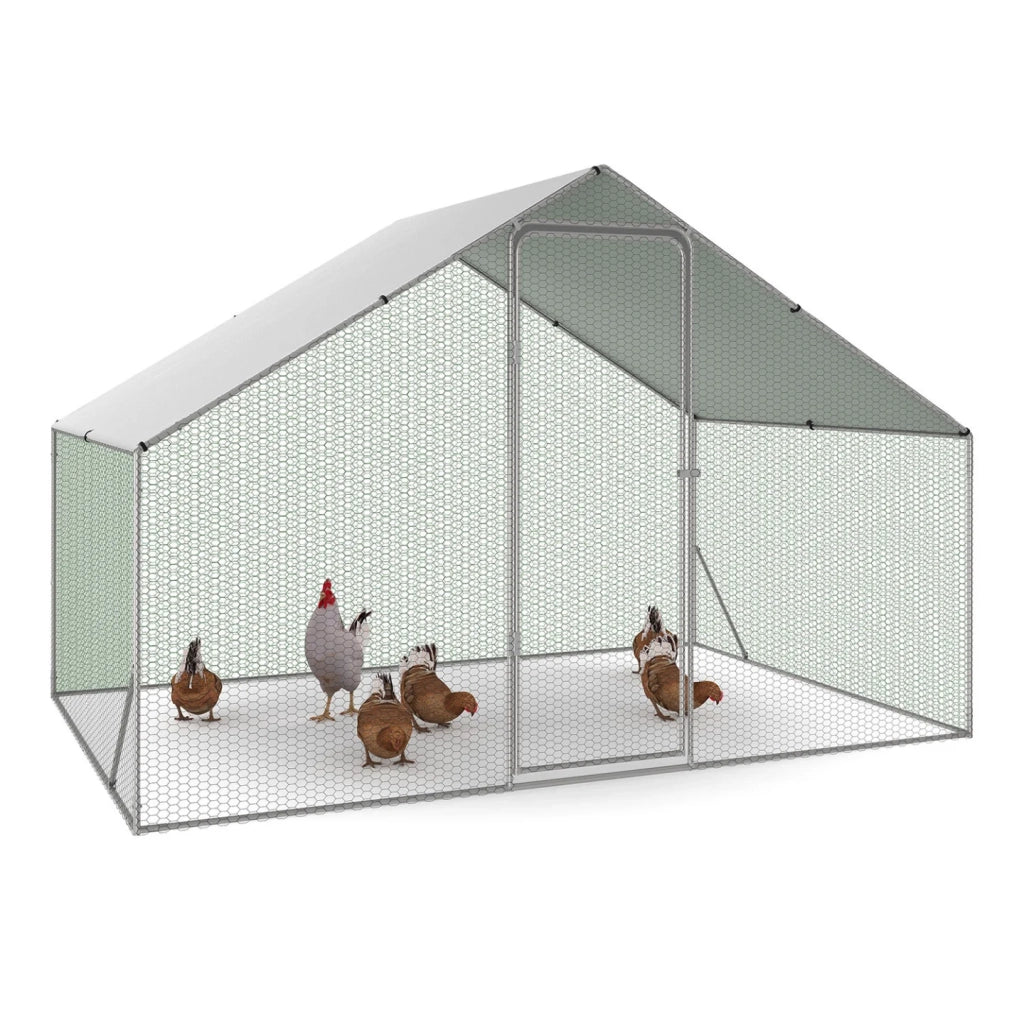 IDMarket - Recinzione per polli di 6 m² con rete metallica in acciaio zincato 3x2 M