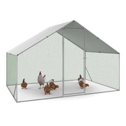 IDMarket - Recinzione per polli di 6 m² con rete metallica in acciaio zincato 3x2 M