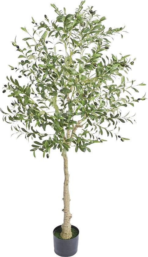 Pianta d'arte - Albero d'arte - Albero di olivo - Pianta d'arte per interni - Pianta d'arte per esterni - Verde - 179cm
