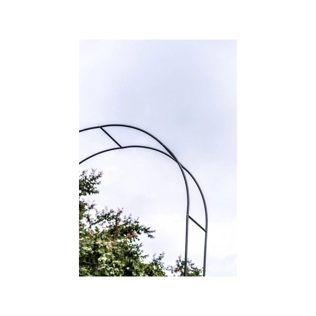 Supporto per pianta - Suan - Supporto per la crescita - Dimensioni: 137 x 38 x 243 cm