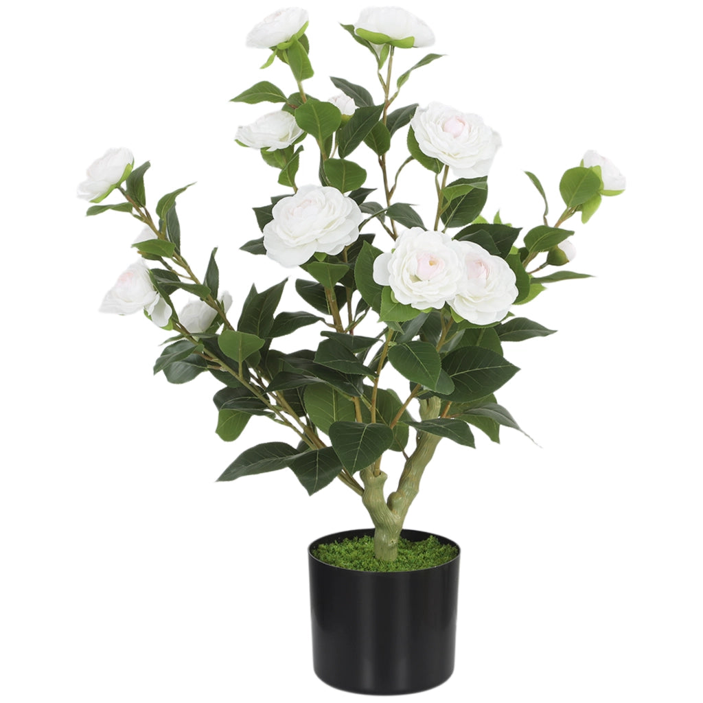 Planta Artificiale Camelia 65cm ¨C zephmum ¨C Bianco Verde