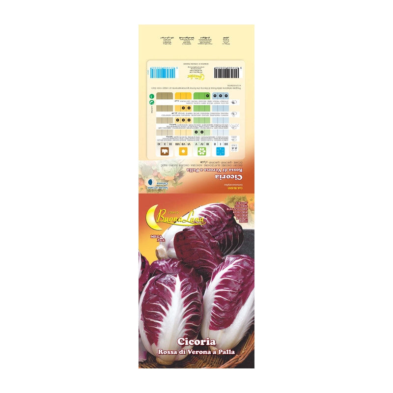 SEMI ORTO CICORIA ROSSA- 10,0 pz