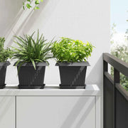 Vasi per Piante 6 pcs Nero 23 x 23 x 17,5 cm Plastica