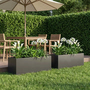 Vaso da giardino 2 pz Nero 100 x 30 x 30 cm 8005219
