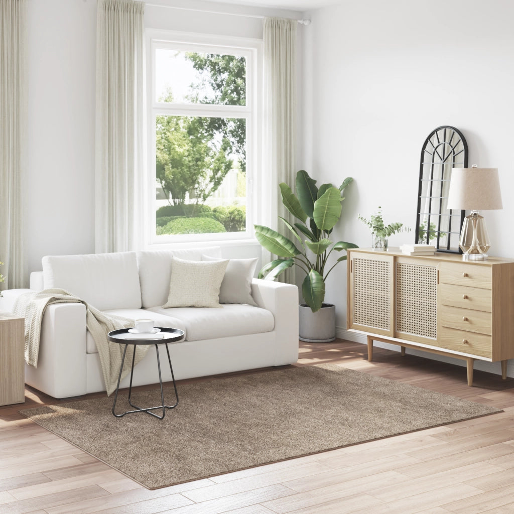 Tappeto Shaggy con retro in lattice marrone 160x230 cm