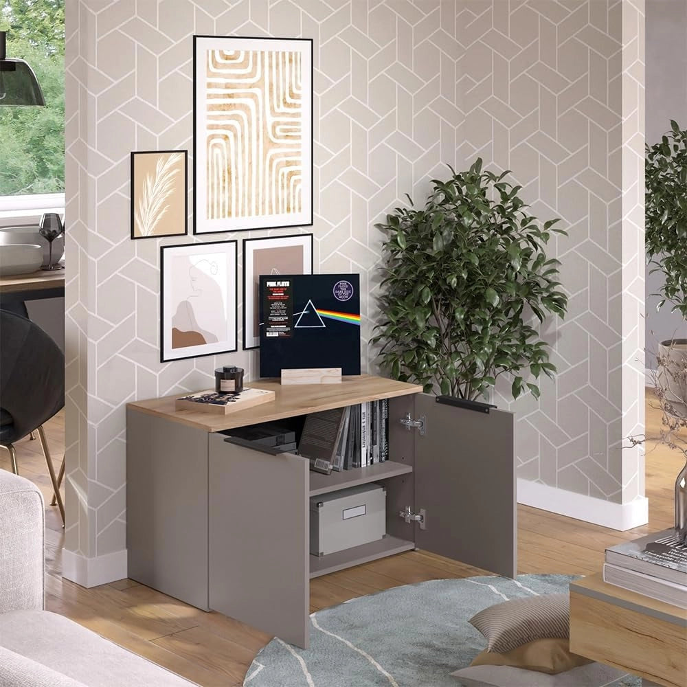 Credenza Wido, Grigio, 80 x 50 cm con 2 porte, adatto per riporre abiti e oggetti per la casa