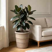 VASO IN CERAMICA 40,5 cm Taupe lucido per piante da interno e giardino