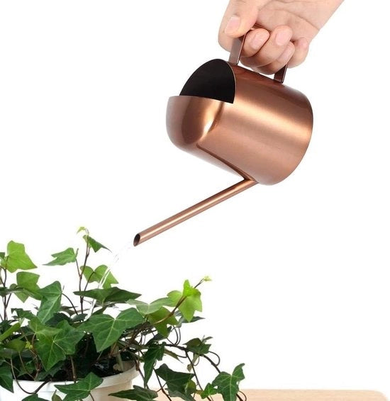 Giocatore da 300 ml in acciaio inossidabile con bocchetta lunga - ideale per fiori e uso domestico