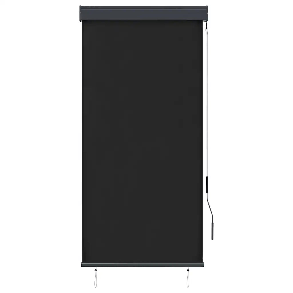 Tenda a Rullo per Esterni-Tenda da sole avvolgibile 80x250 cm Antracite