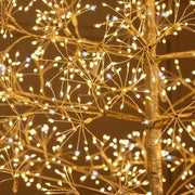Albero Champagne h 1,5 m con 1500 microled o h 1,8 m con 2100 microled bianco caldo e bianco freddo, uso interno - 1.5.