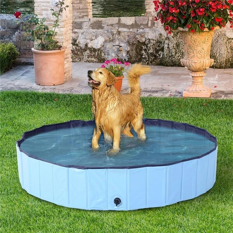 PISCINA PIEGHEVOLE PER CANI IN PVC 160 X 30CM  AZZURRO