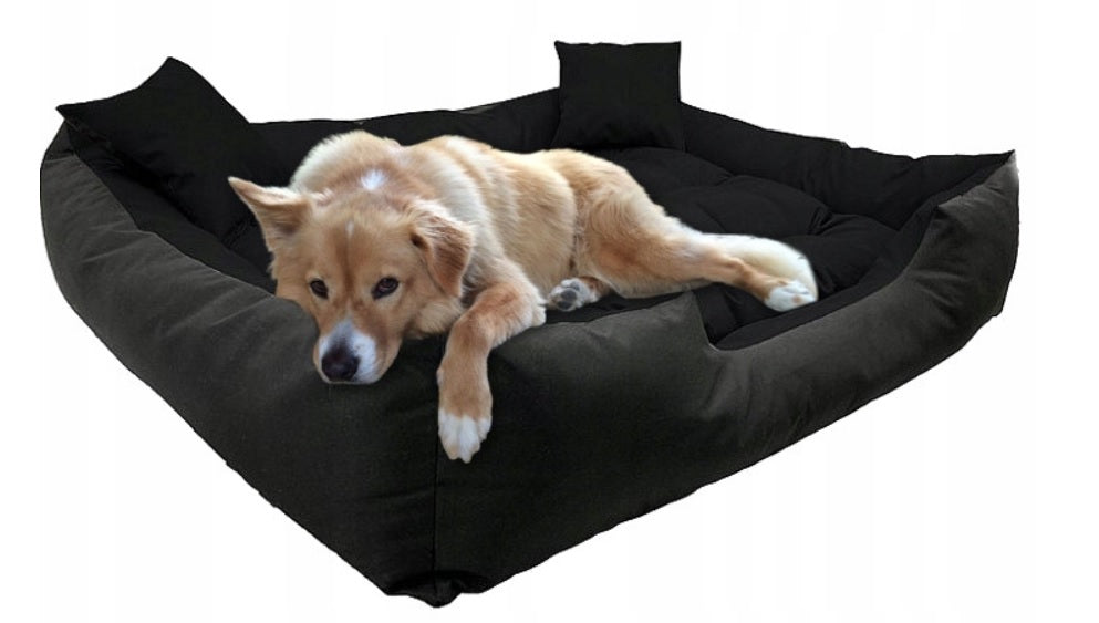 AIO FACTORY 115x95 cm ECCO Cuccia per cani impermeabile nera con cuscino per cani