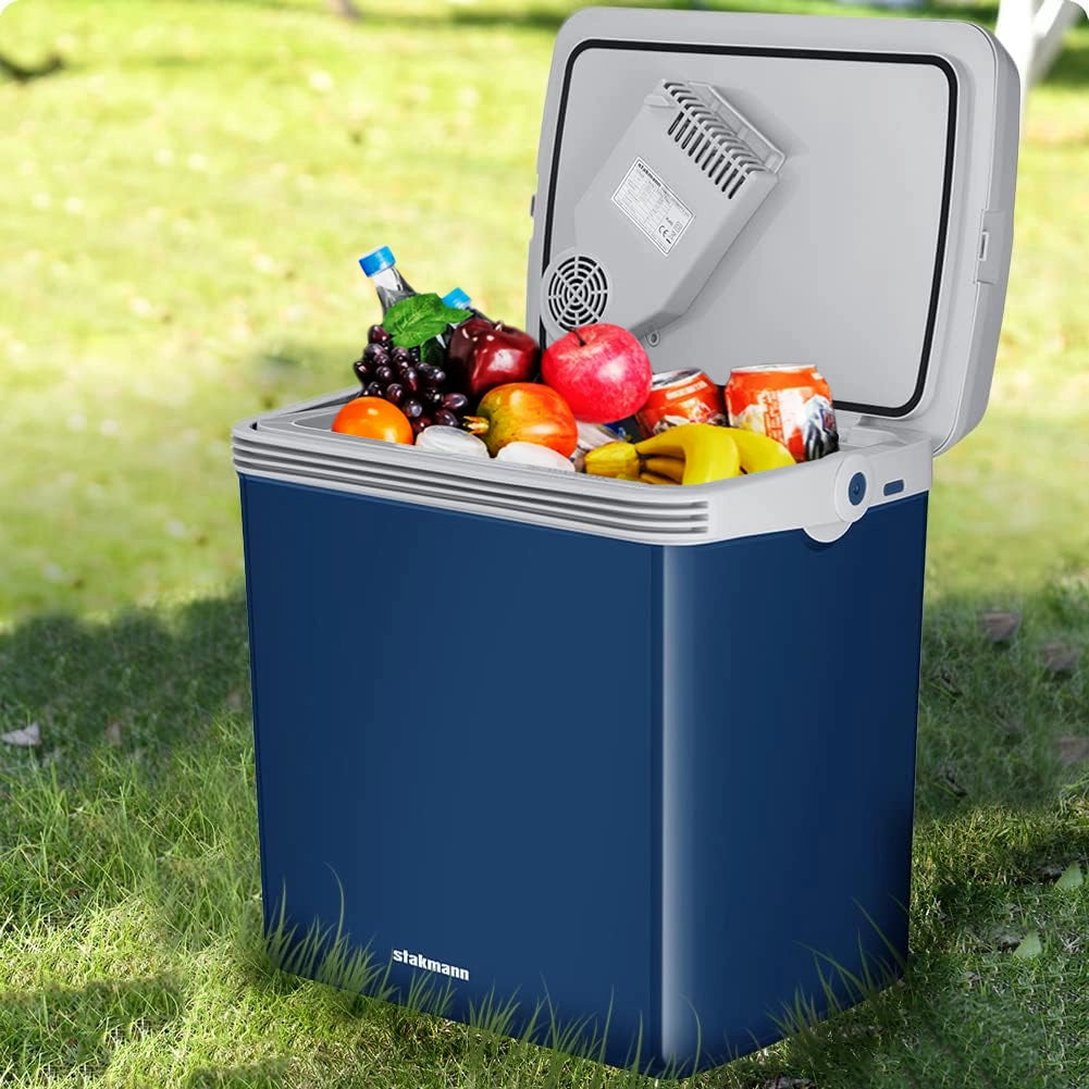 Frigorifero Elettrico Portatile 32 Litri Caldo e Freddo 44x32x44,7 cm Spina 230V e 12V in PP+PU Blu