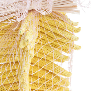 Set 30 Stelle Linckia Levigate 7x9 cm