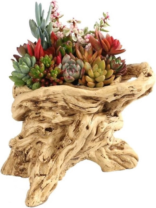 Vaso per Piante in Legno Antico - Pianta Finto Grasso - Decorazione per Interni e Esterni - Stile J
