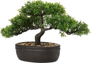 Arbusto bonsai decorativo in vaso per decorazione interna