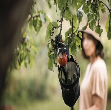 COGLIFRUTTA FISKARS 'QUIKFIT' - FISKARS