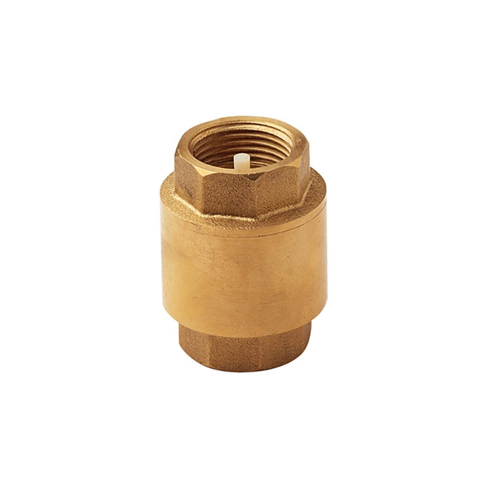 Valvola di ritegno