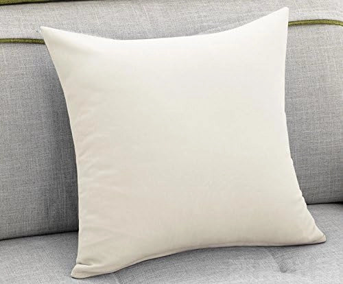 Copricuscini Fodere per Cuscini Quadrate Decorazione per Divano Casa Set da 2 Pezzi 30x30 cm