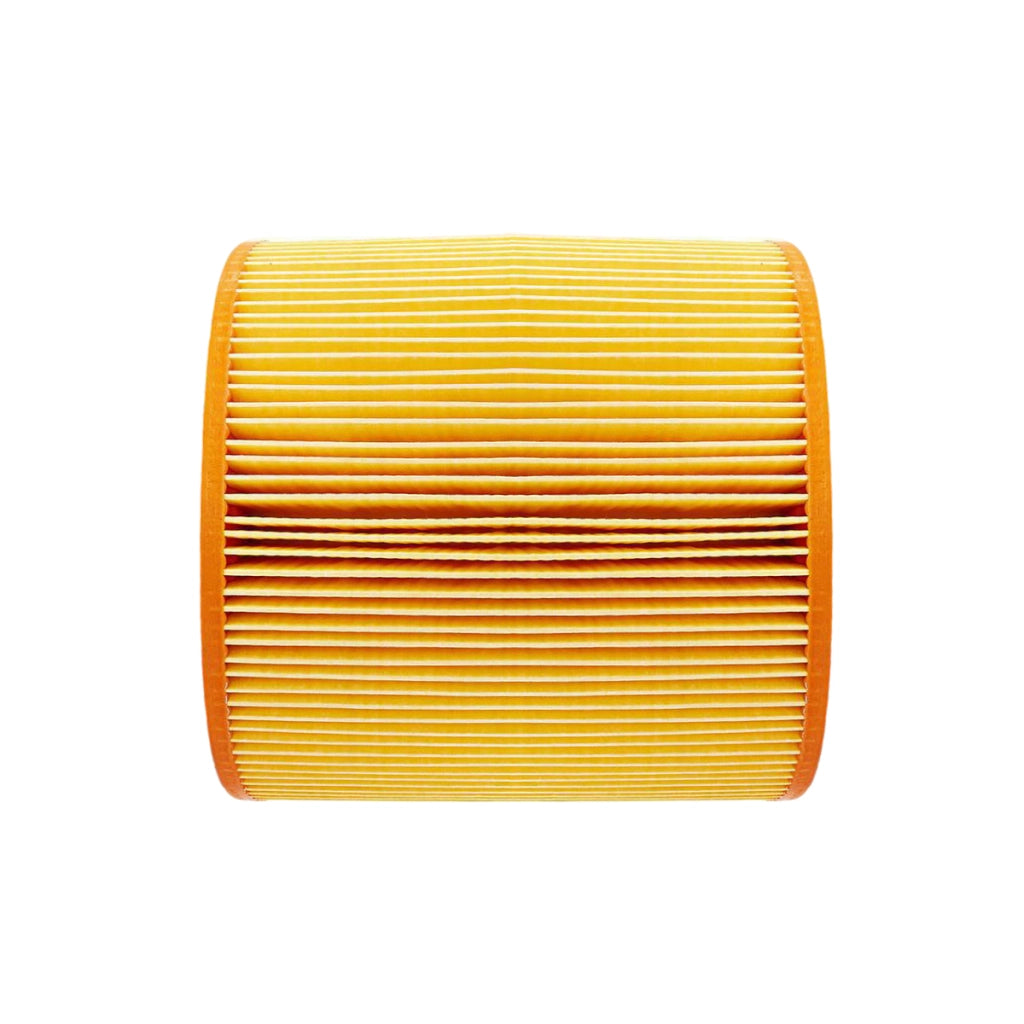 Cartuccia Filtrante del Motore per Aspirapolvere Allaway Serie A/C Giallo Nedis