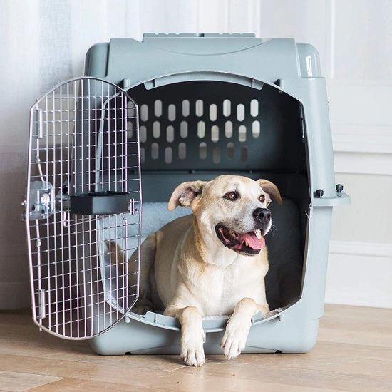 Borsa di trasporto per cani con sedile di viaggio per cani