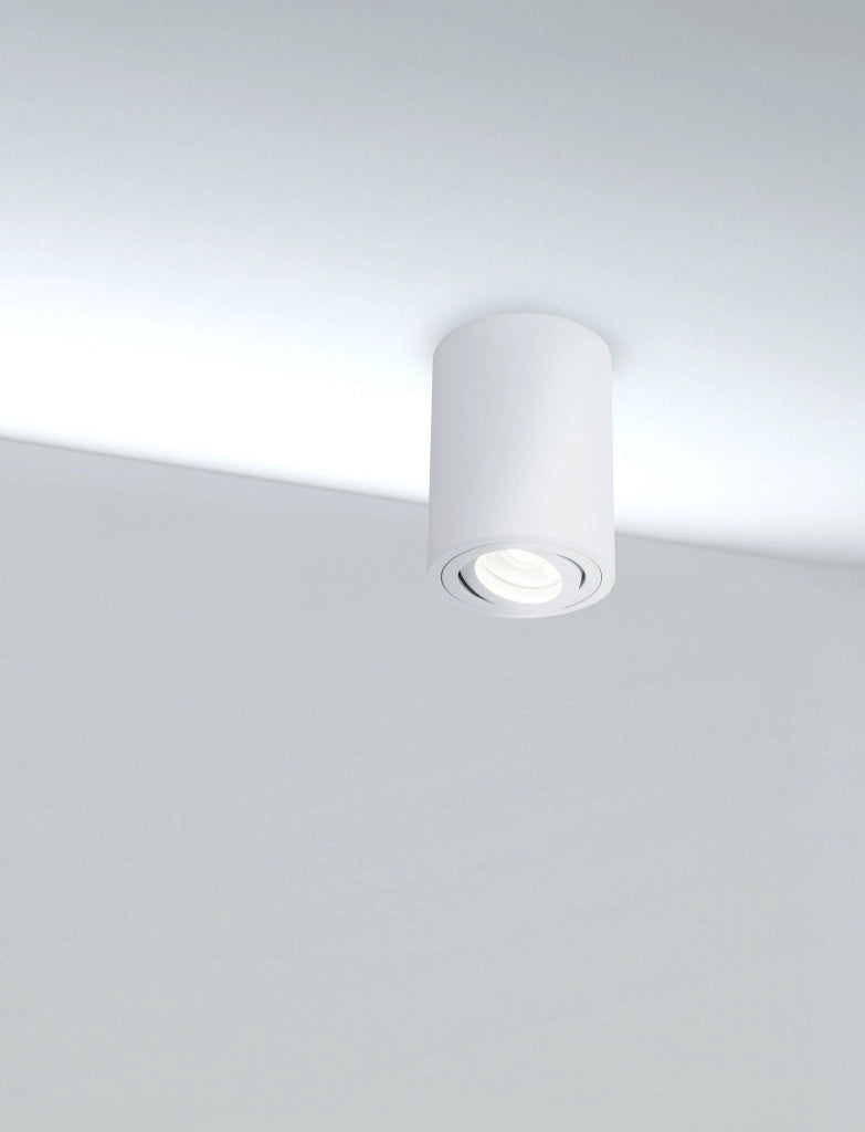 Plafoniera Ceiling & Wall in Alluminio Alfa Bianco