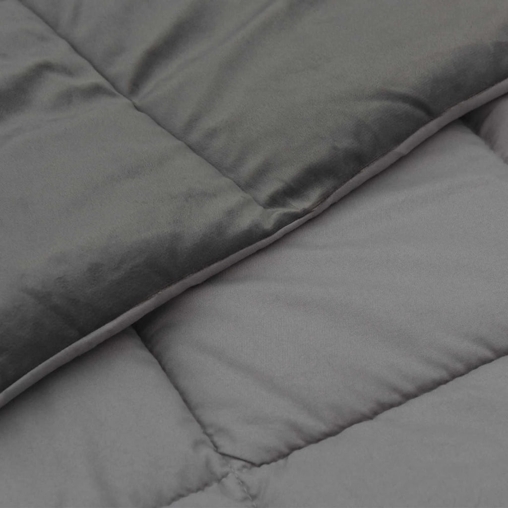 Piumone | Duvet Invernale Grigio chiaro 220 x 260 cm Microfibra