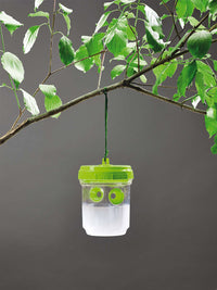 Set 2 Trappole per Vespe e Insetti in Plastica Rama Verdi