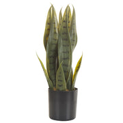 Pianta artificiale di serpente in vaso verde e Nero Materiale sintetico 40 cm Accessorio decorativo per interni