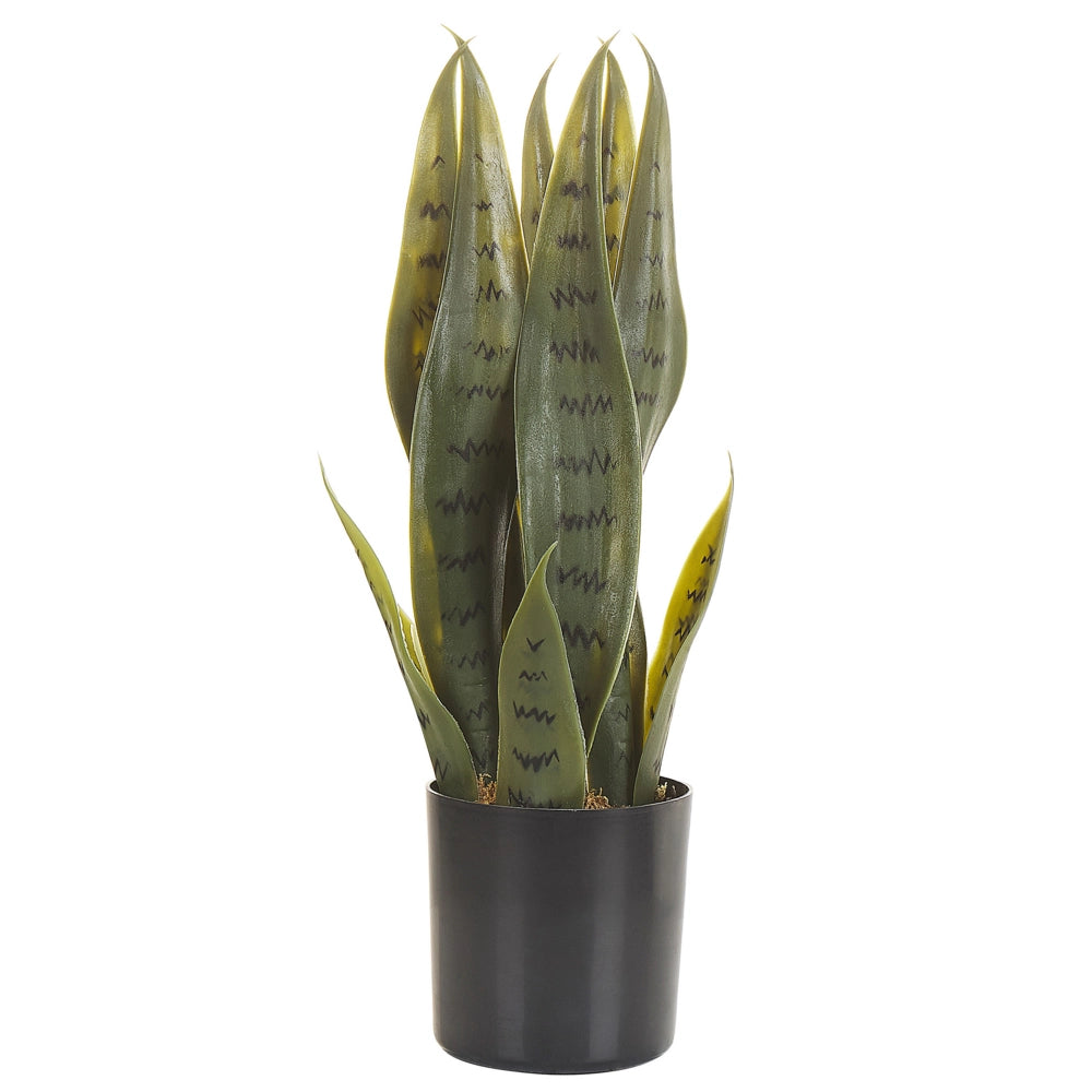 Pianta artificiale di serpente in vaso verde e Nero Materiale sintetico 40 cm Accessorio decorativo per interni