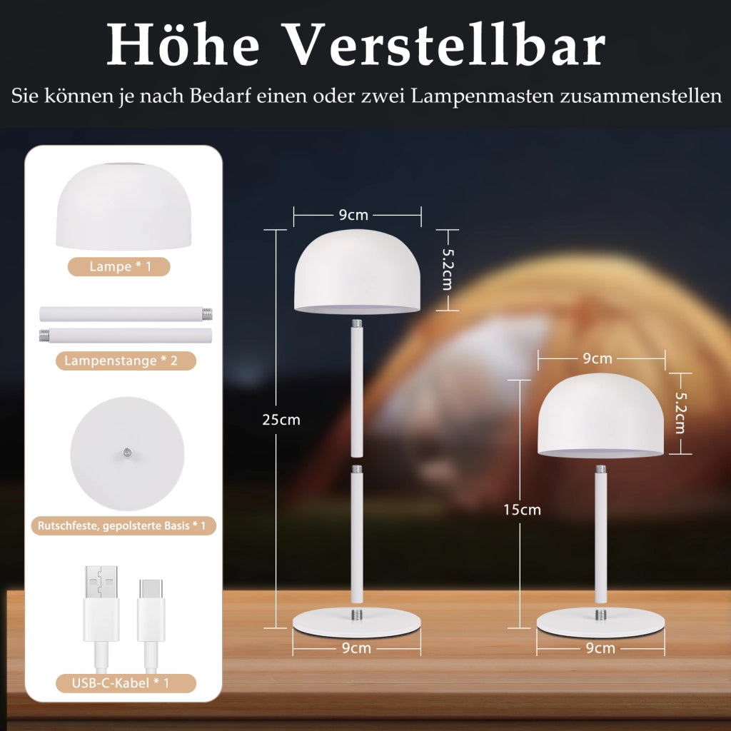 ZMH Lampada da tavolo LED wireless dimmerabile 3 temperature colore per camera letto soggiorno