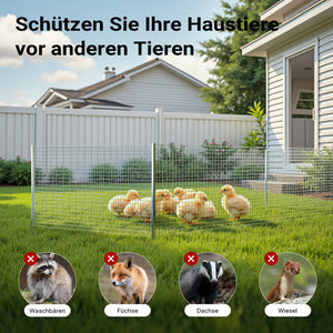 Rete da voliera 4 angoli Maglie 12x12mm Rotolo da 25m alto 50cm In acciaio zincato