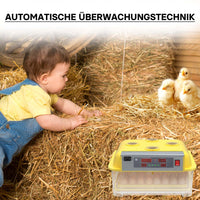 Incubatrice automatica per 48 uova, con regolazione temperatura e umidità, Covatrice