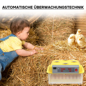 Incubatrice automatica per 48 uova, con regolazione temperatura e umidità, Covatrice