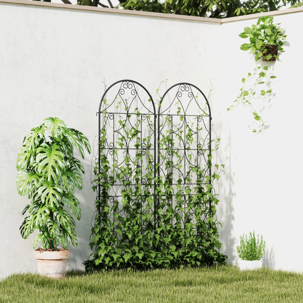 Griglia per piante rampicanti ¨C Zephmum ¨C Nero 50x150 cm